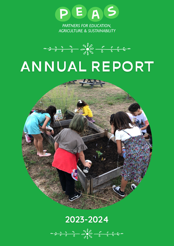 A group of children are planting plants in a garden.