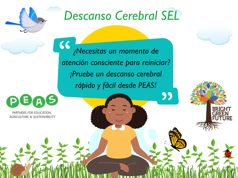 A cartoon of a girl sitting in a lotus position with a speech bubble that says descanso cerebral sel