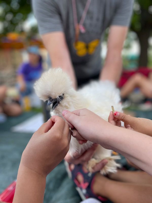 A group of people are holding a white chicken in their hands.