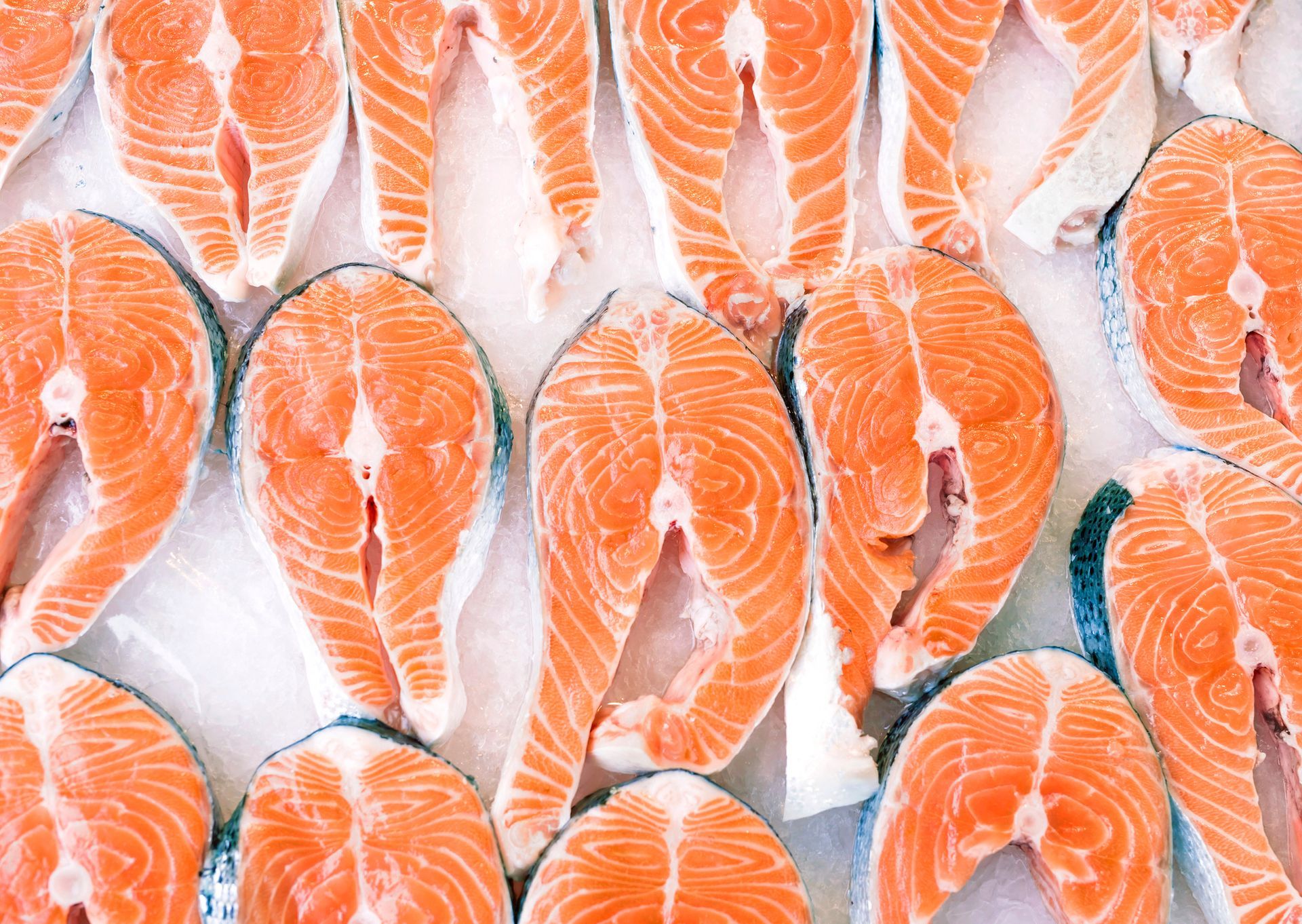 File di tranci di salmone fresco e crudo, di colore arancione brillante con venature bianche, esposti sul ghiaccio.