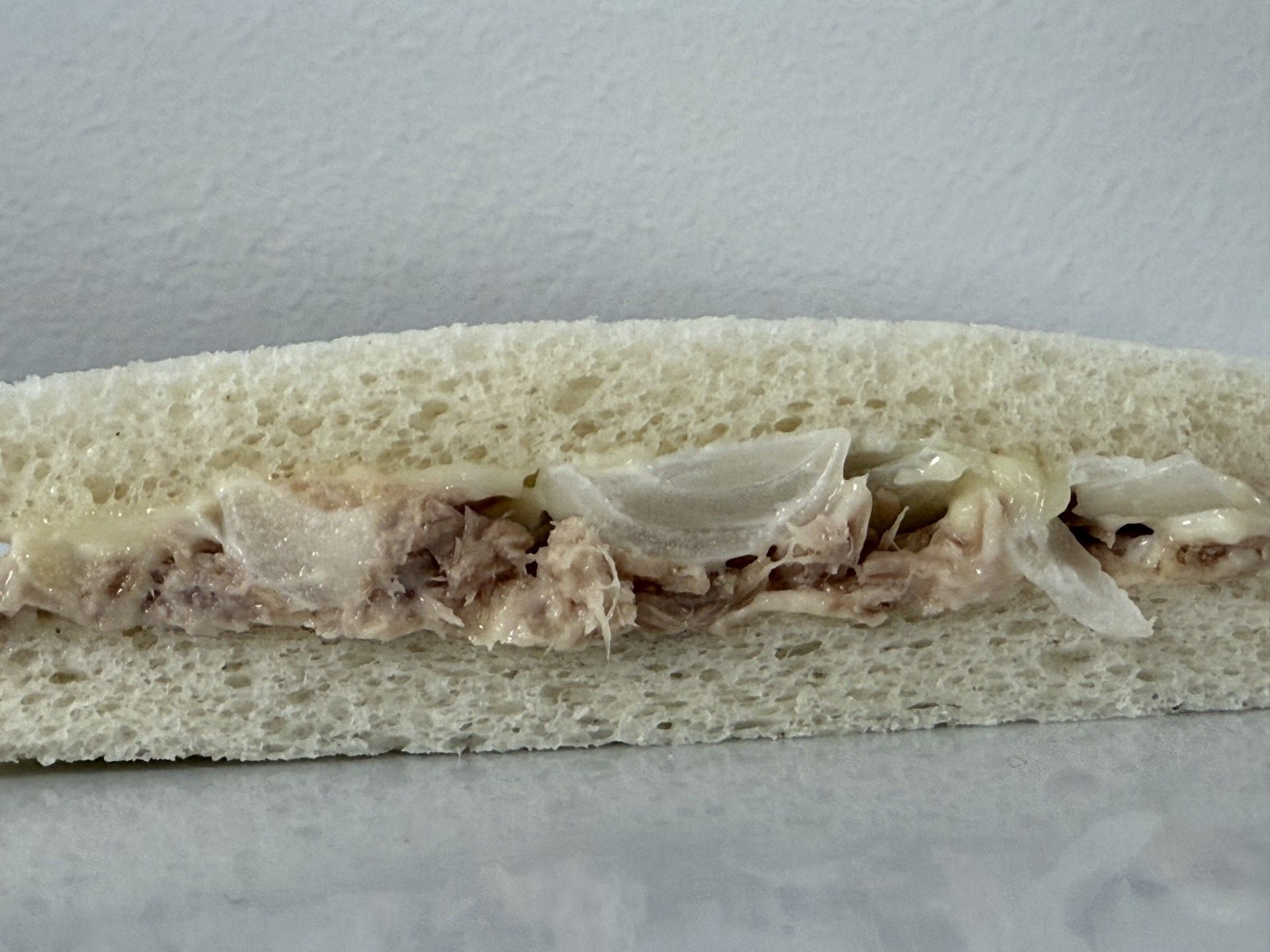Panino con insalata di tonno su pane bianco e cipolle.