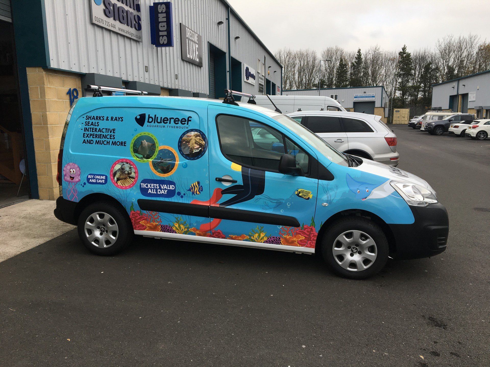 Vehicle Graphics 1