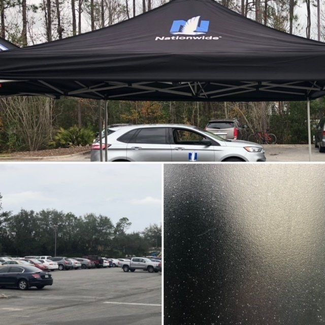 remediation services near me