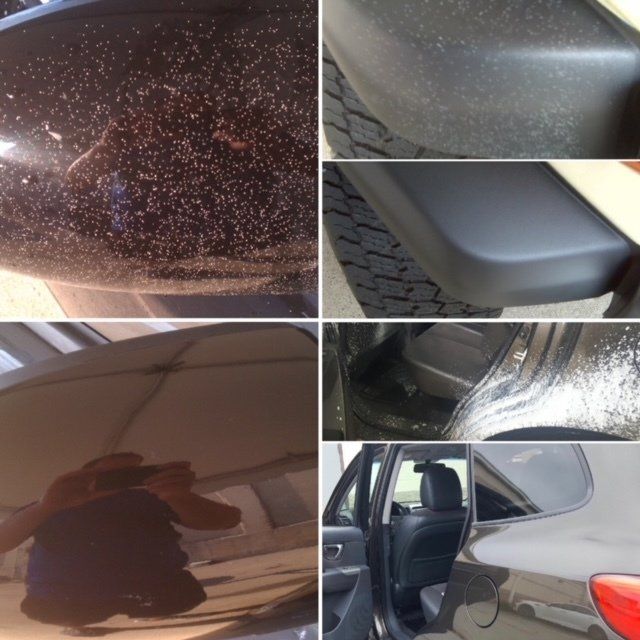 overspray removal services near me