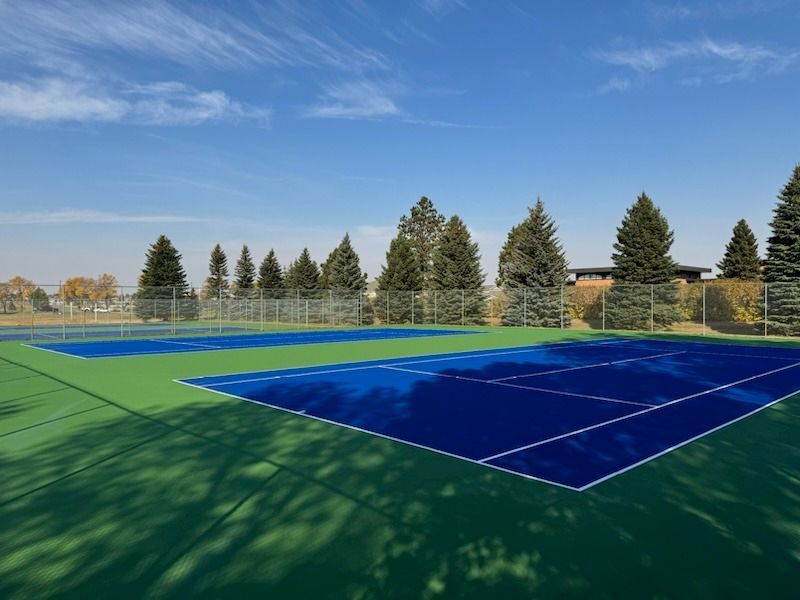 A blue and green tennis court with trees in the background