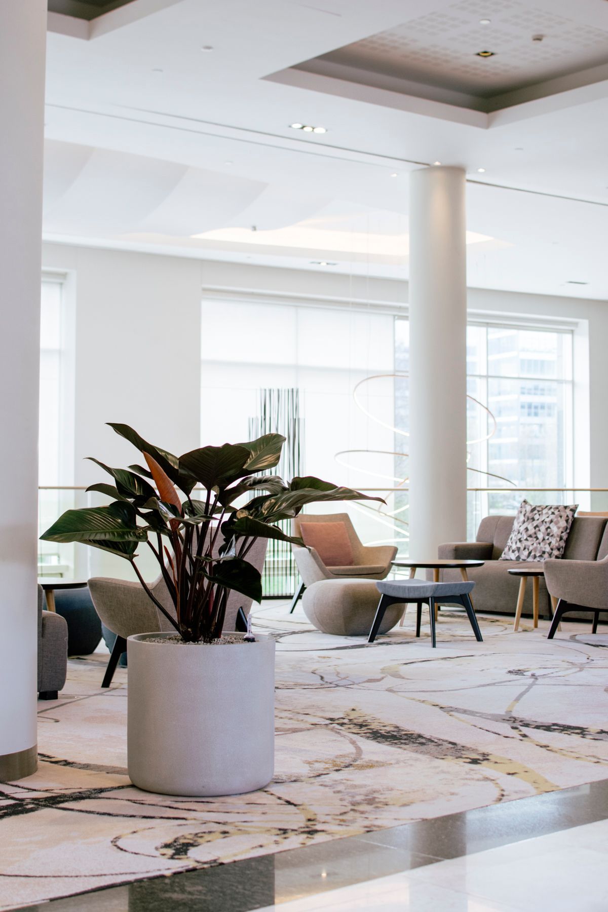 Een groene potplant staat op een vloer met marmerpatroon in een lichte, moderne lobby met stoelen en grote ramen.