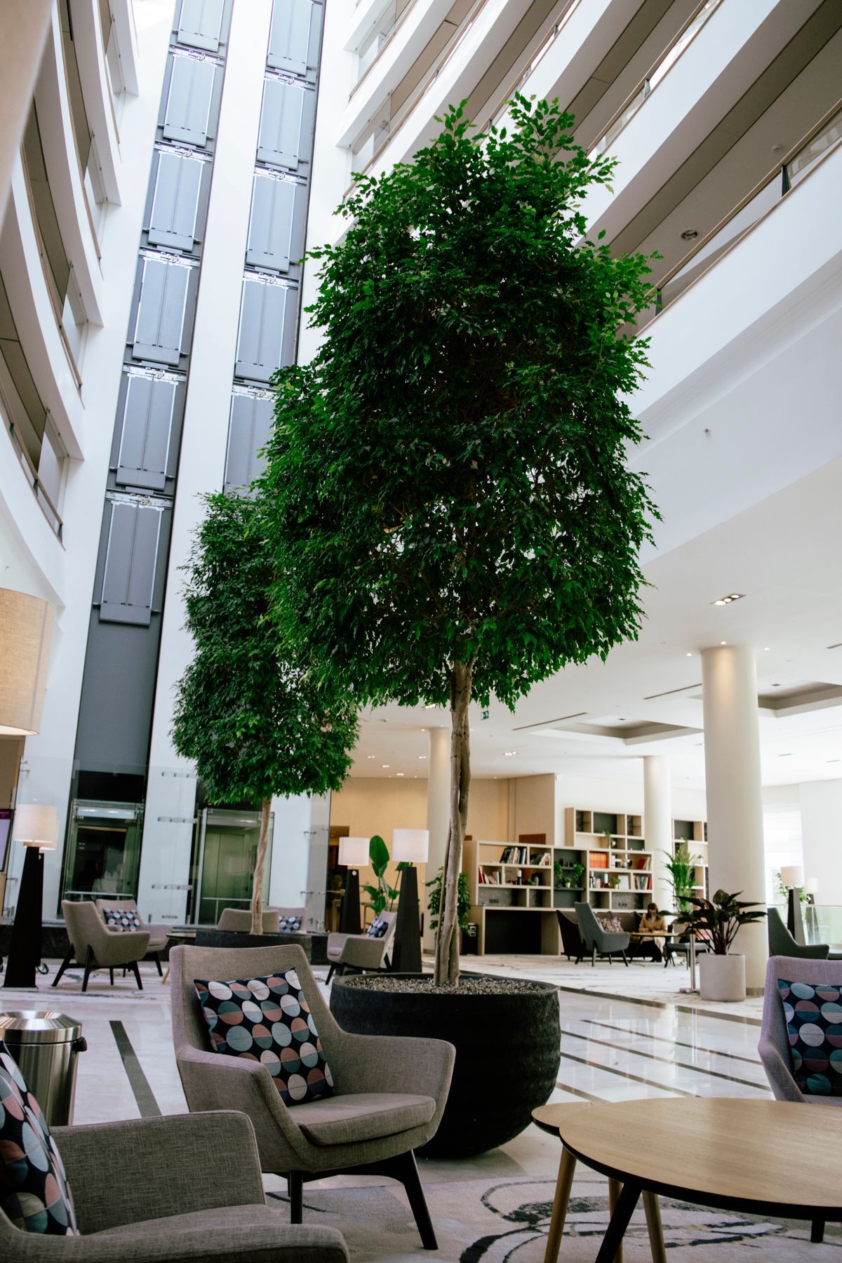 Een atrium met een hoog plafond, een grote potboom, loungestoelen en een liftinstallatie op de achtergrond.