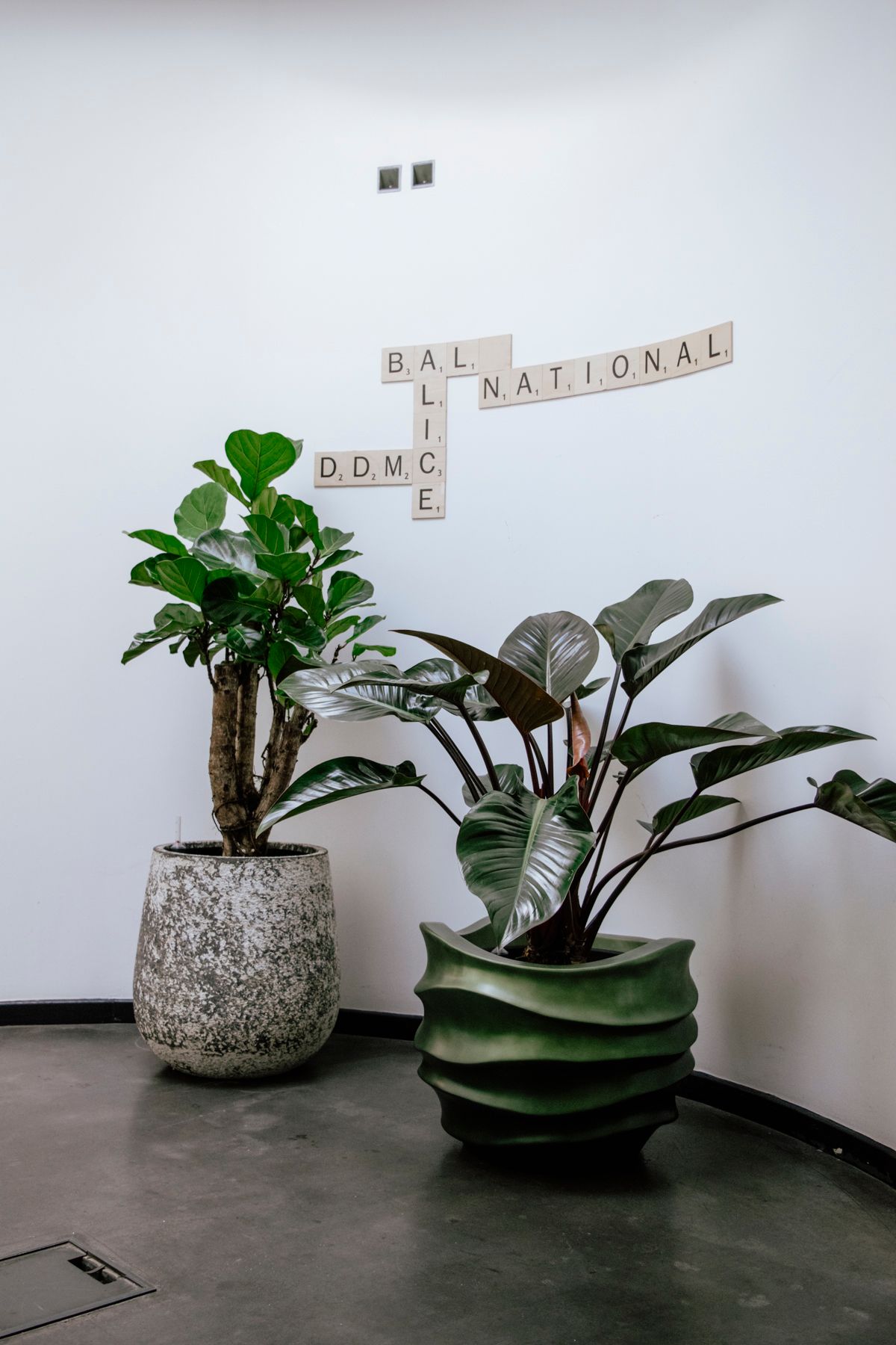 Twee kamerplanten in potten met een structuur staan ​​tegen een gebogen witte muur waarop Scrabble-achtige tegels in een kruisvorm zijn gelegd.
