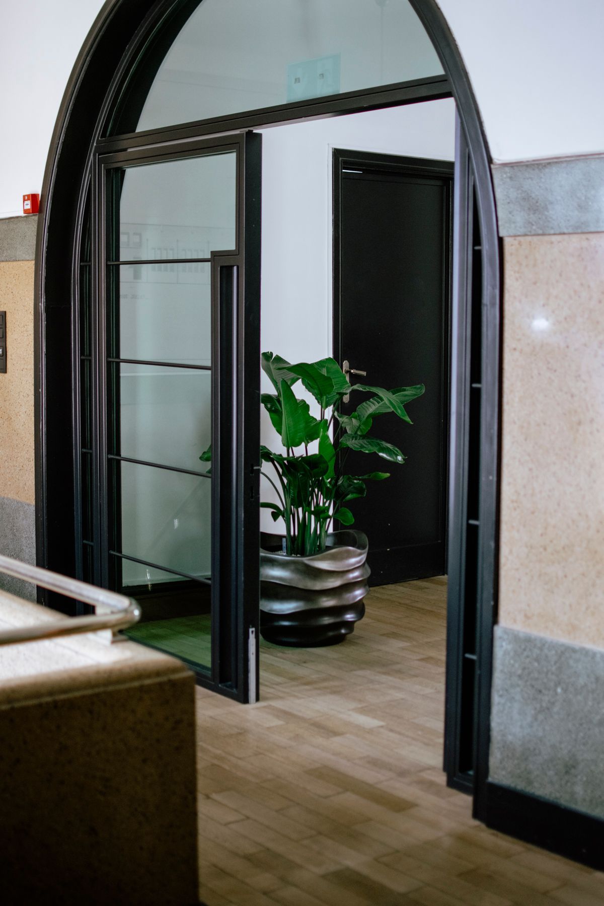 Een zwart, gebogen deurkozijn geeft toegang tot een kamer met een grote groene plant in een donkere, gelaagde pot op een lichte houten vloer.