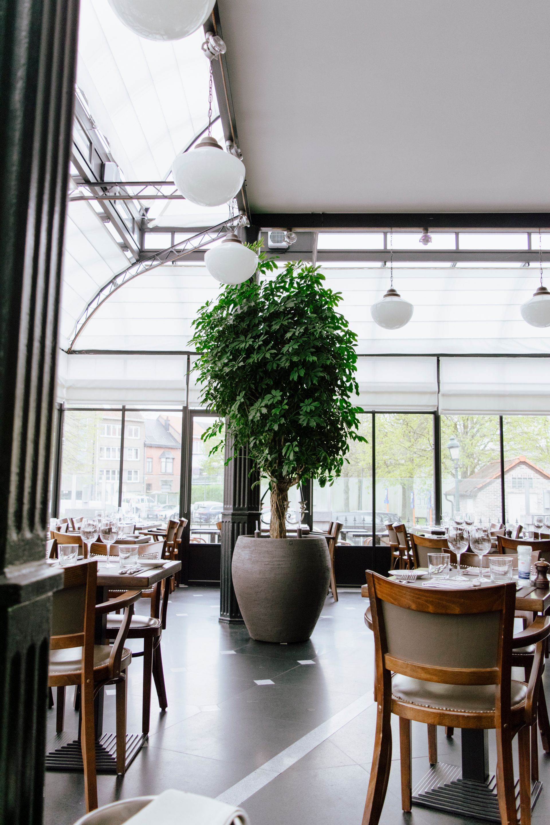 Een restaurant met tafels en stoelen en een plant in het midden