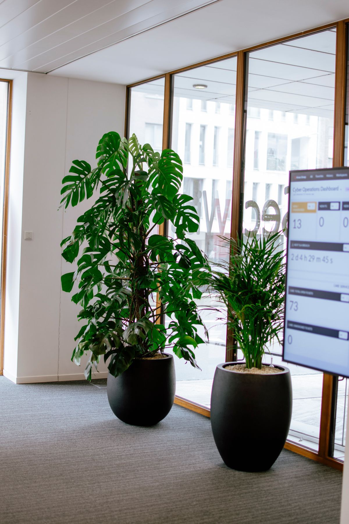 Twee grote groene kamerplanten in donkere, ronde potten staan ​​binnen naast een glazen wand en een digitaal beeldscherm.