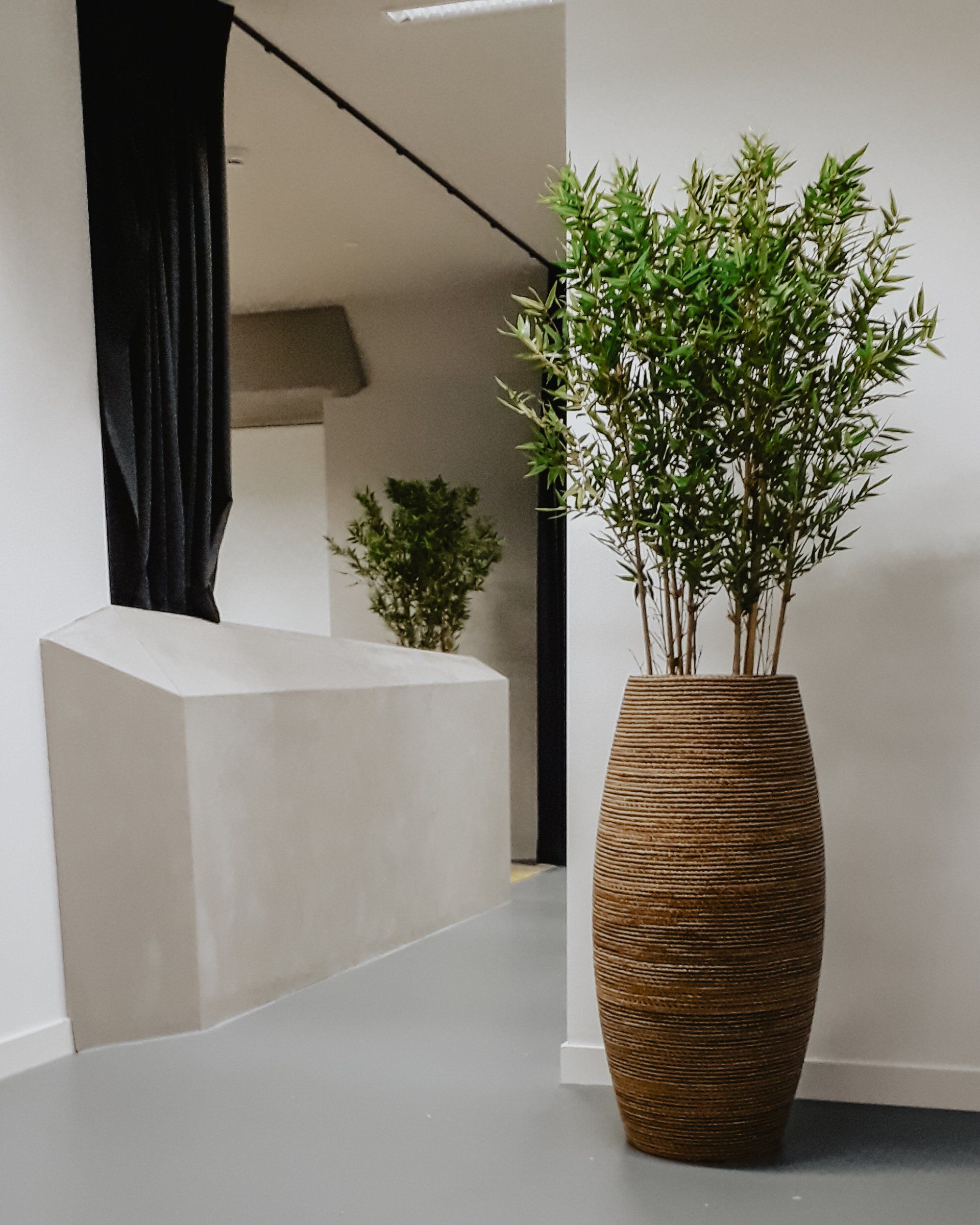 Havenhuis_InteriorPlants
