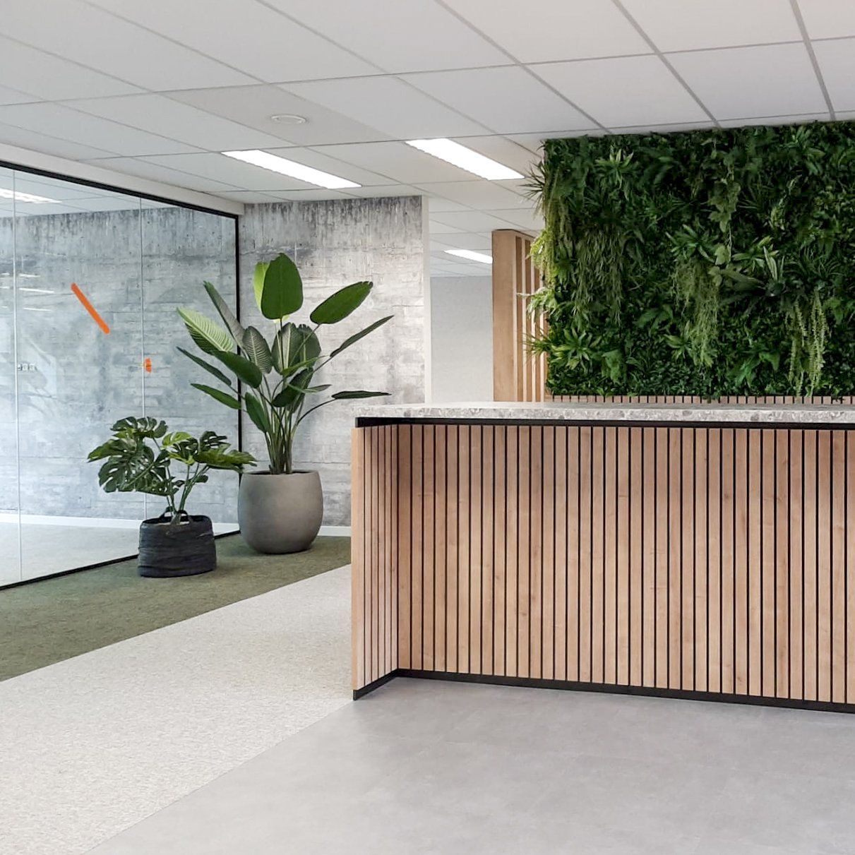 Concrete_ArtificialPlantWall