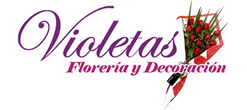 logo floreria violetas