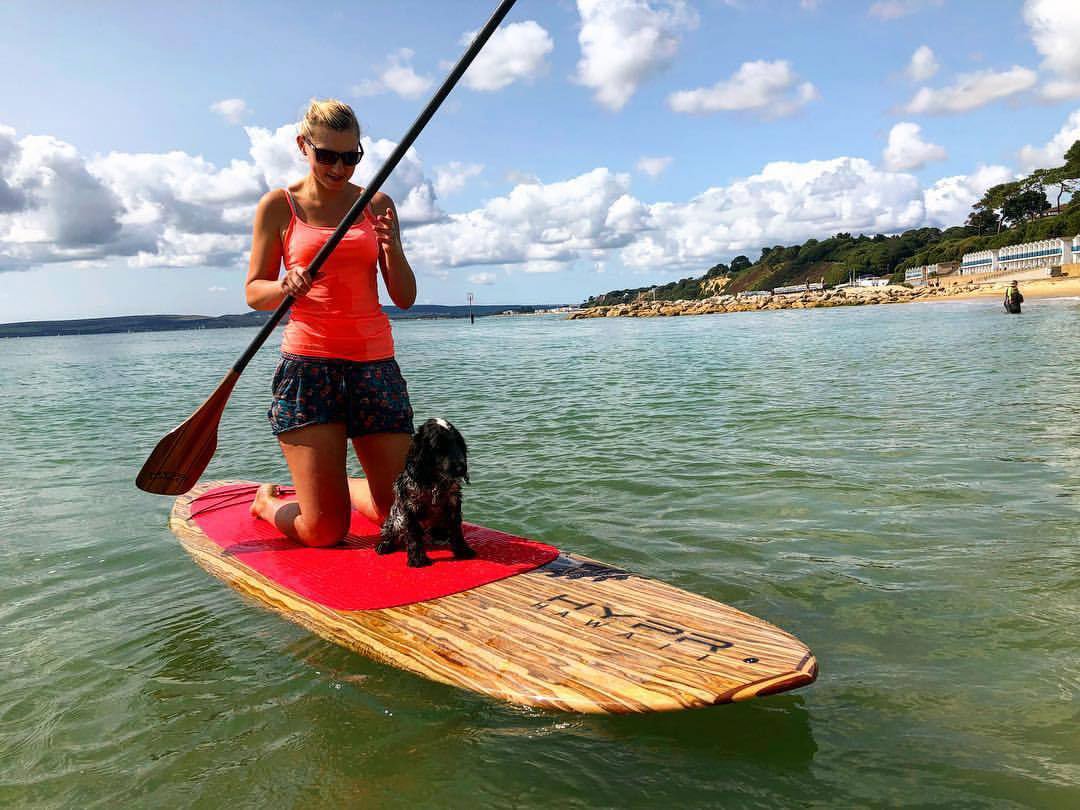 dog pup paddle boarding at the beach