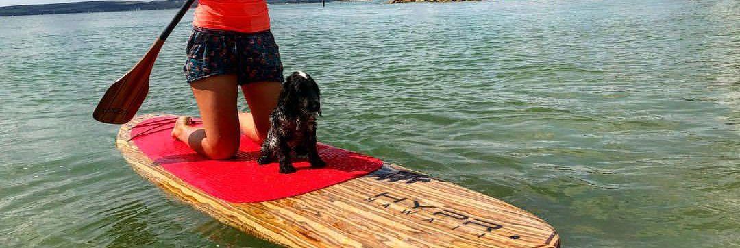 Our hypr dog enjoying paddle boarding