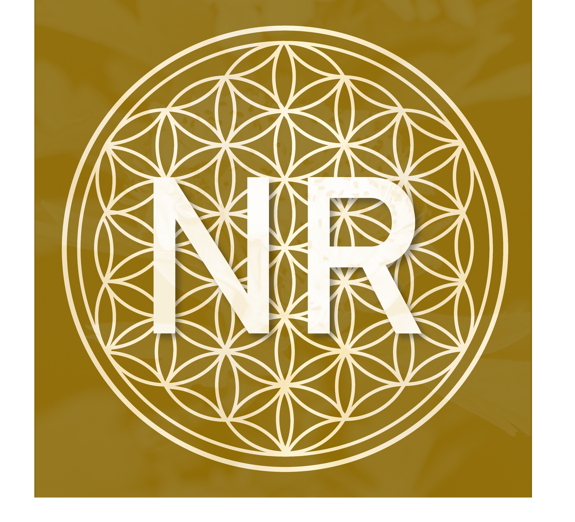 Netzwerk: Bewusst Sein am Niederrhein