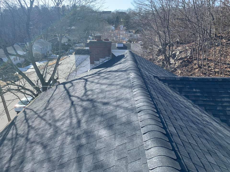 A close up of a roof with trees in the background.