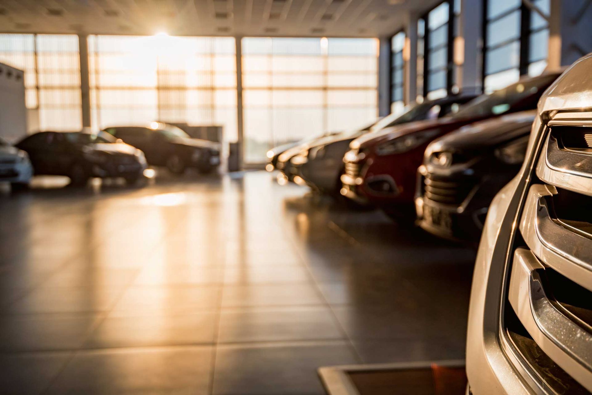 Row of new cars in a brightly lit showroom, sunlight through large windows.