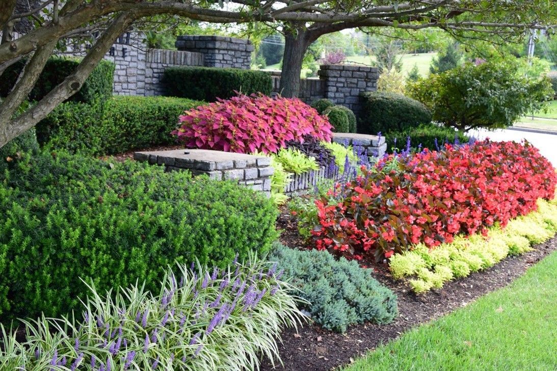 Entrance Landscape Remodel