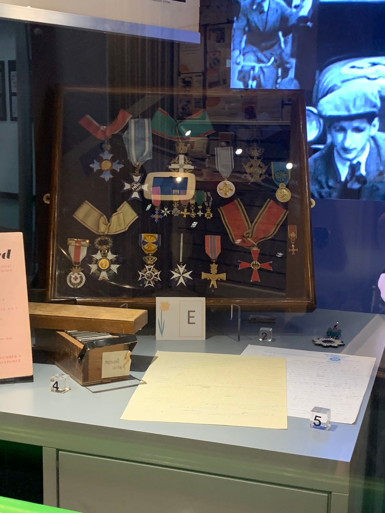 Medals of different colours and on different coloured ribbons, pinned onto a board in a glass box with a card with the letter E in front and a yellow daisy drawn on. 