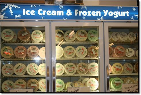 A display of ice cream and frozen yogurt in a refrigerator