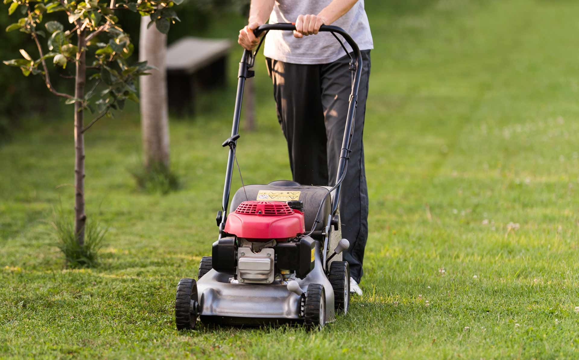 Person mowing a green lawn with a red and silver lawnmower.
