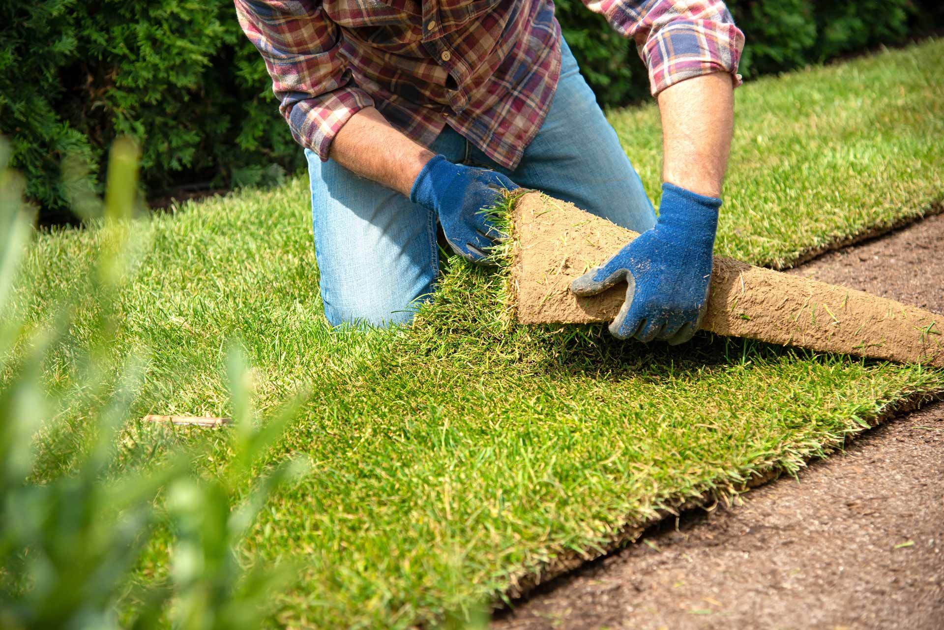 Man installing sod, kneeling on grass, wearing gloves, in a sunny yard.