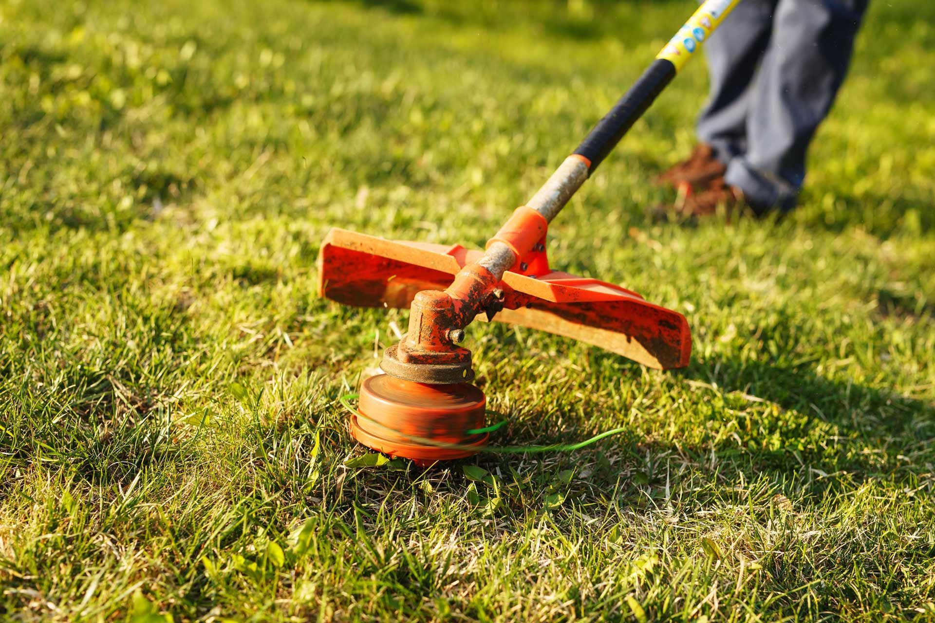 String trimmer cutting grass in a sunny yard.