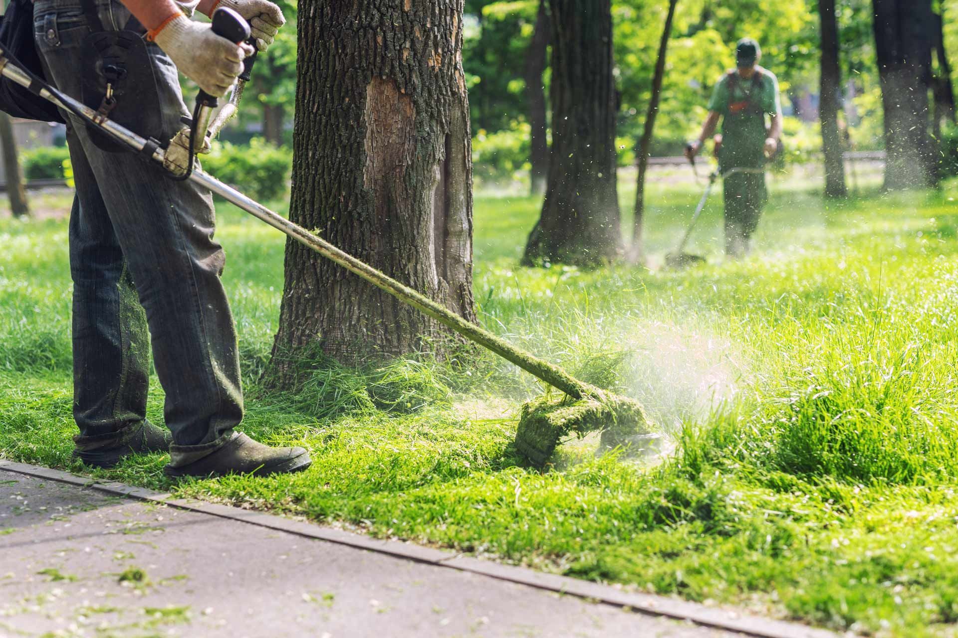Man using weed wacker to trim grass near a sidewalk; another person in background.
