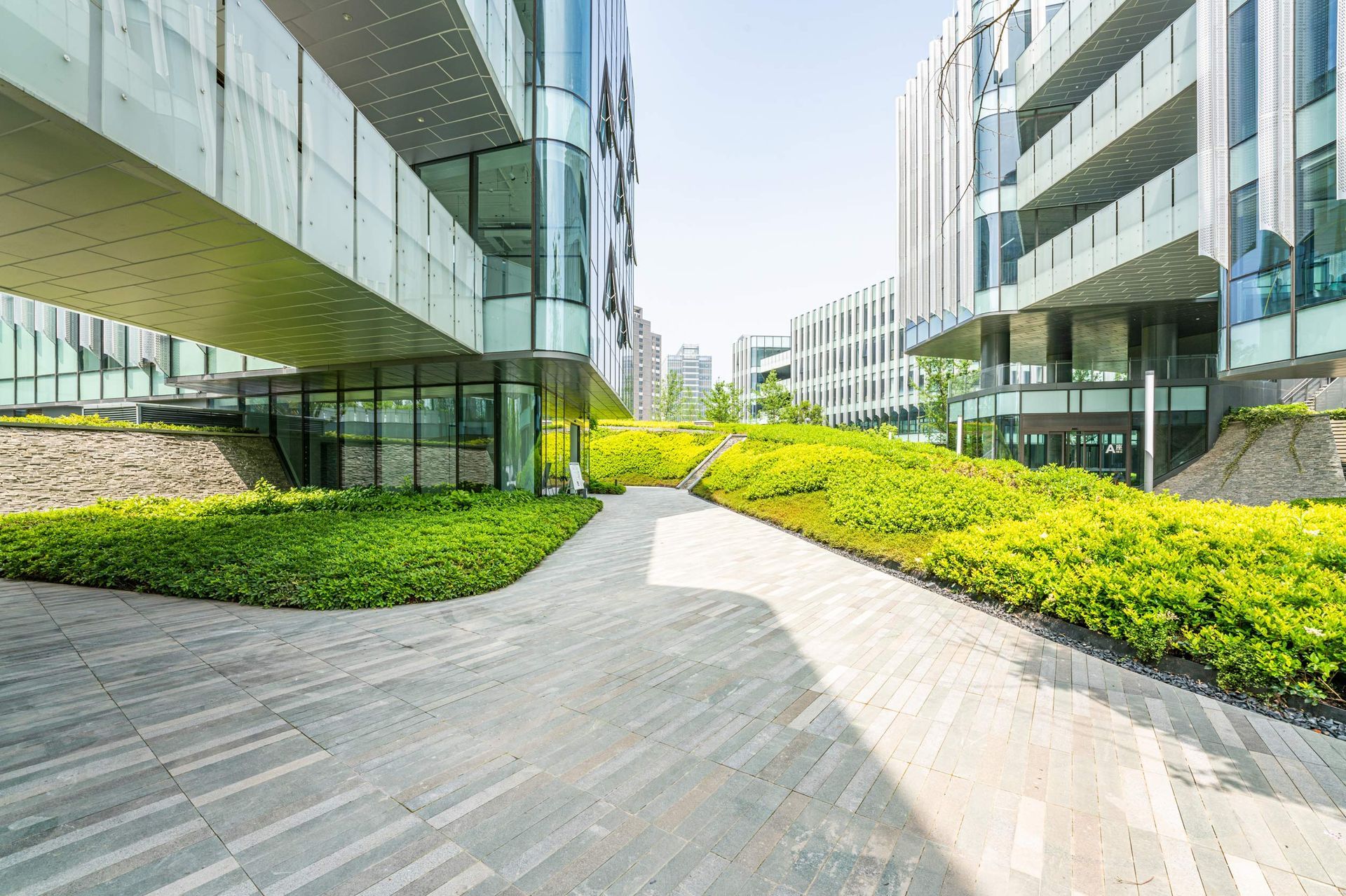 Modern buildings with glass facades flank a paved walkway lined with green plants, sunny day.