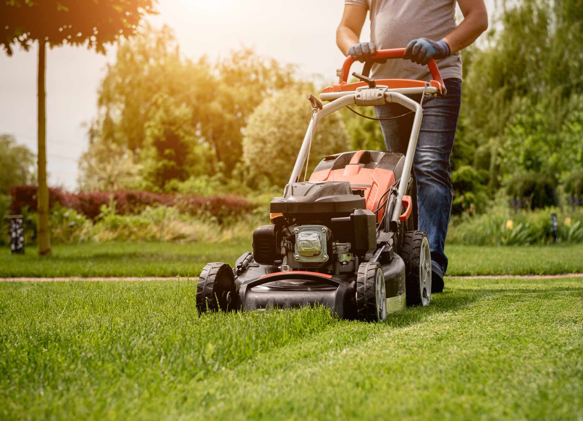 Person mowing lawn with orange and black lawnmower in a sunny garden.
