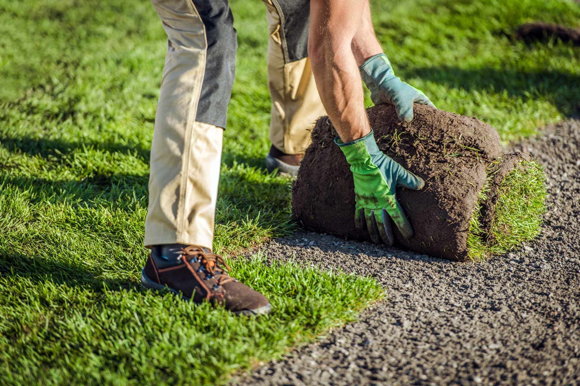 Person laying sod, wearing work gloves, on a patch of gravel next to grass.