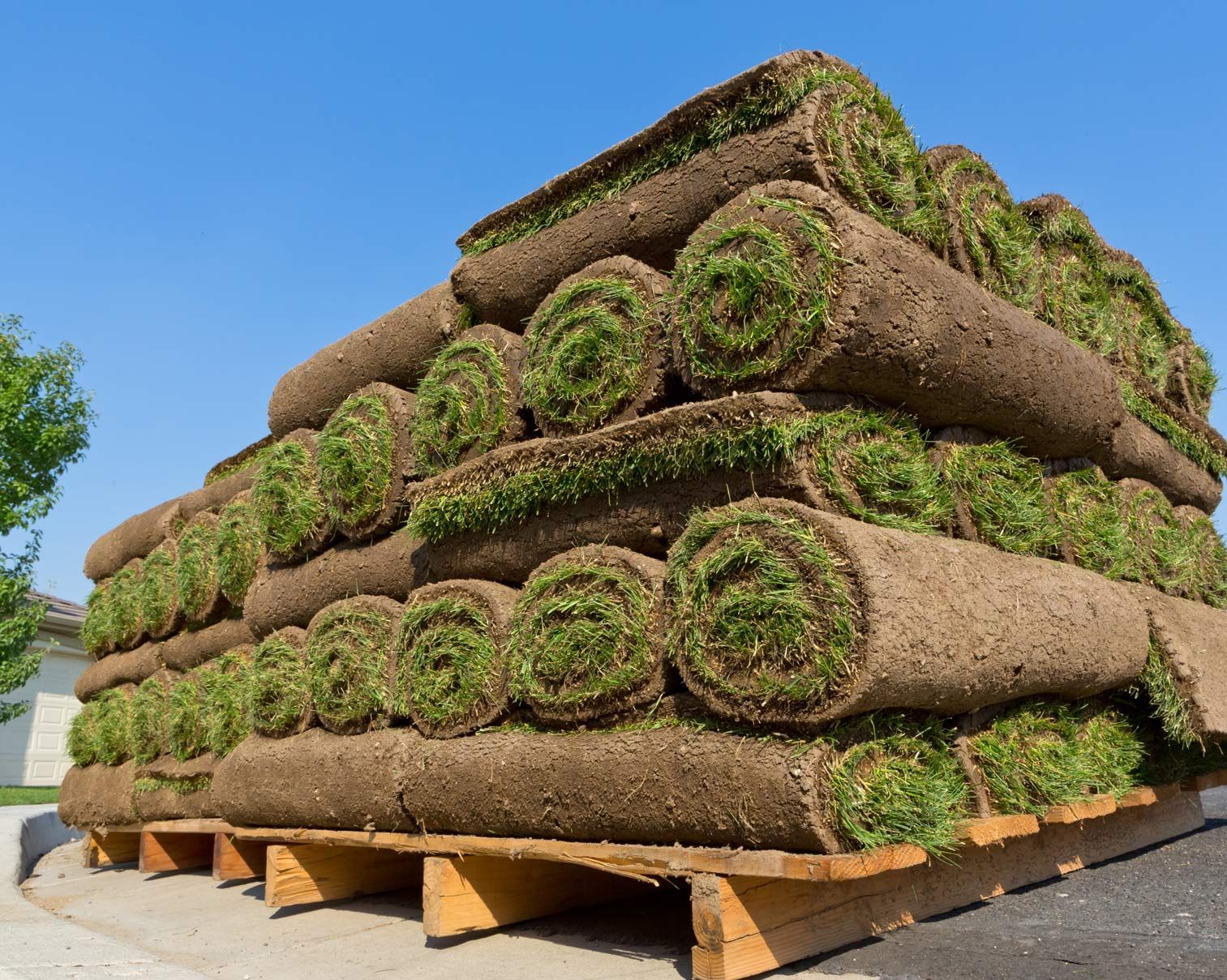 Stacked rolls of sod on a wooden pallet outdoors under a blue sky.