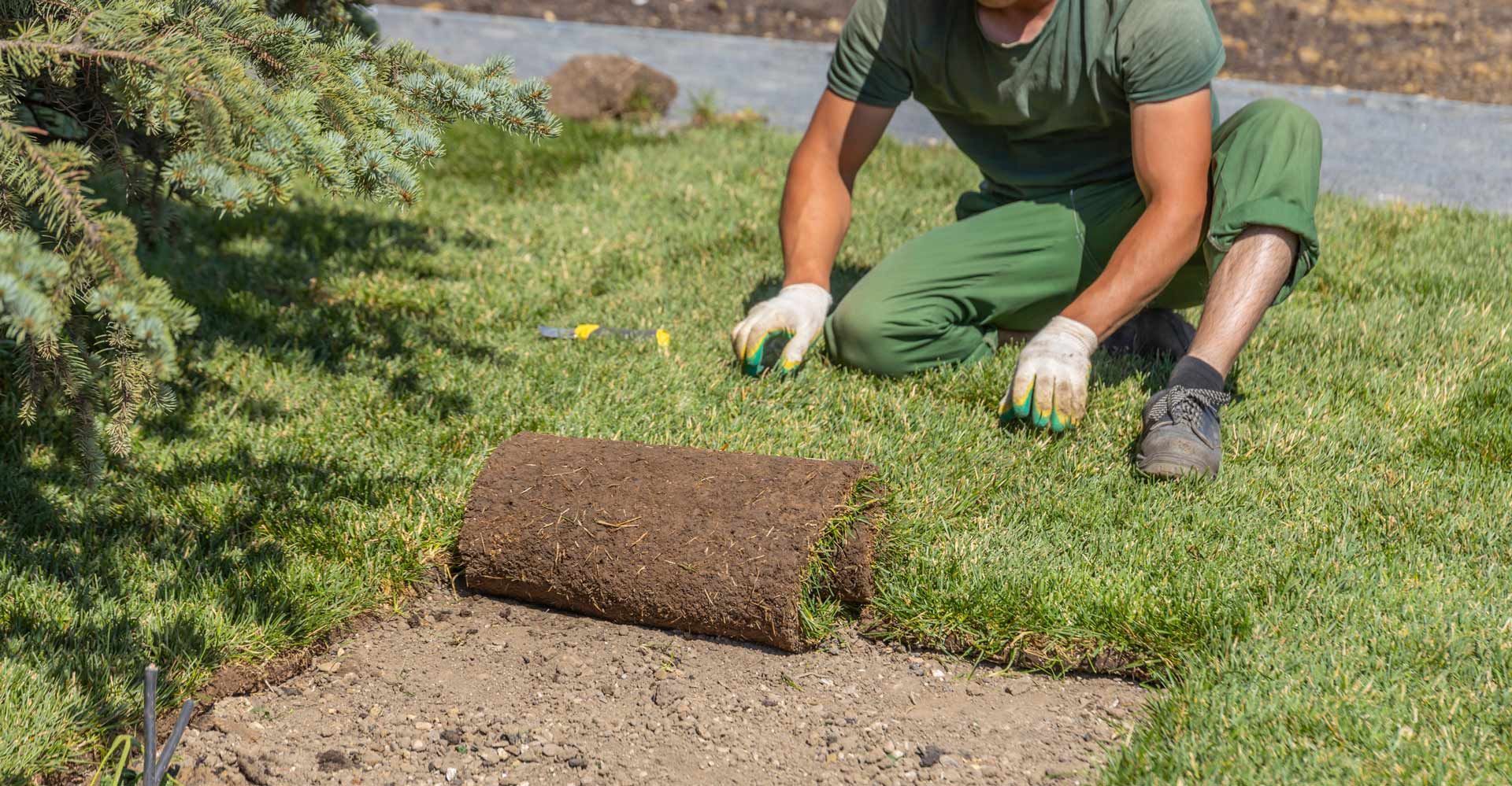 Person installing sod in a yard, rolling out turf.