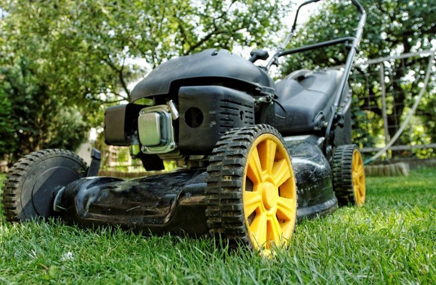 Black and yellow lawnmower on green grass in a yard.