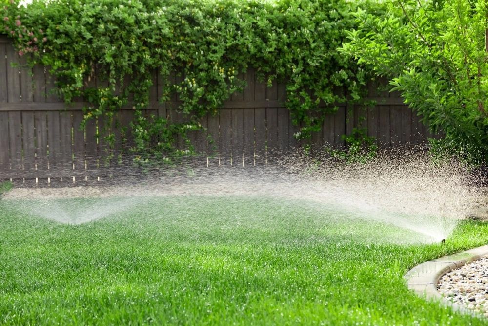 Sprinkler spraying water on green grass lawn with a wooden fence background.