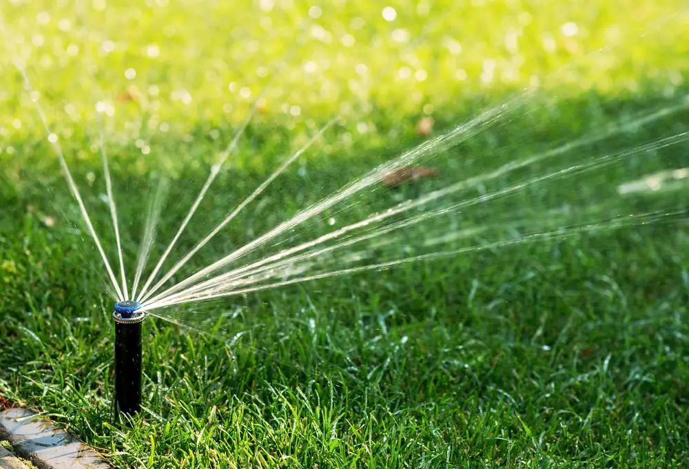 Sprinkler watering green grass on a sunny day.