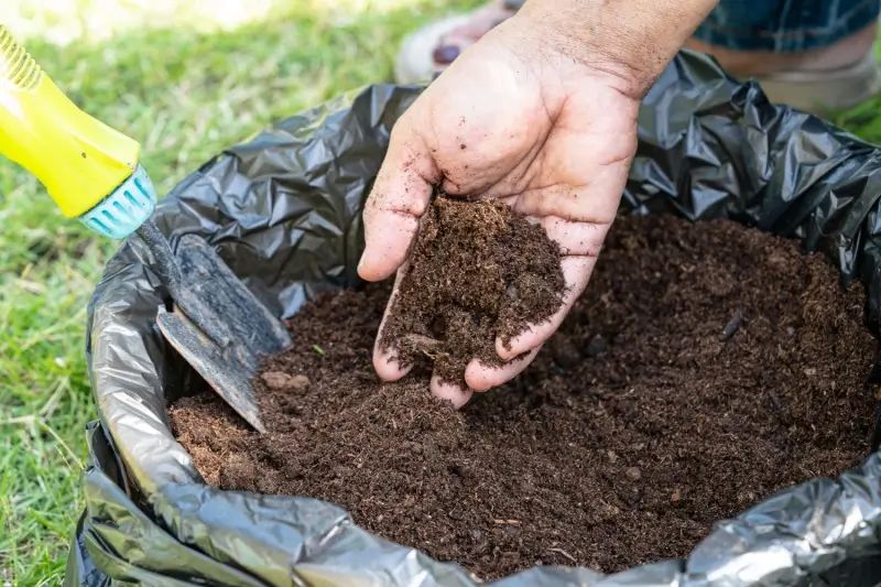 Hand holding and inspecting soil in a black bag, with a yellow spray bottle and shovel nearby on green grass.