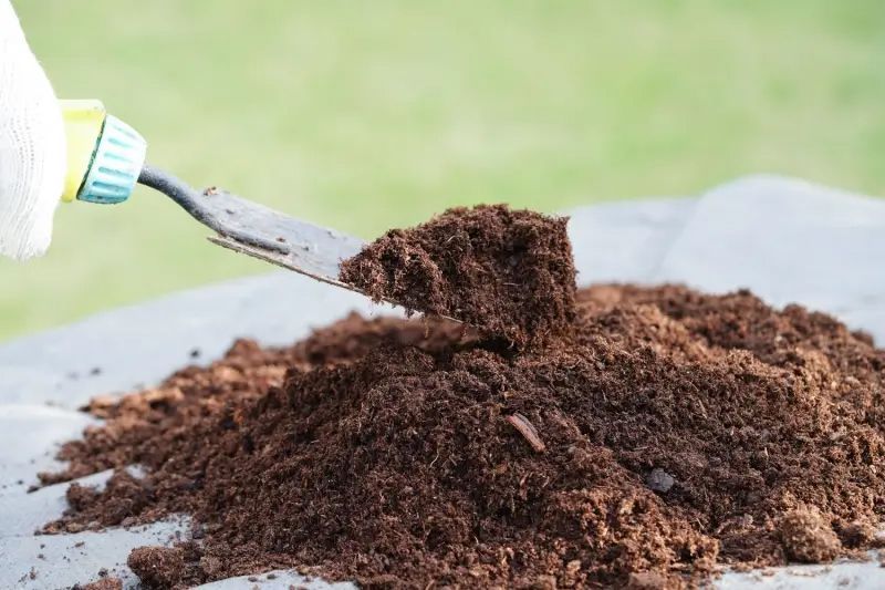 Person using a trowel to scoop up a pile of dark brown compost outdoors.