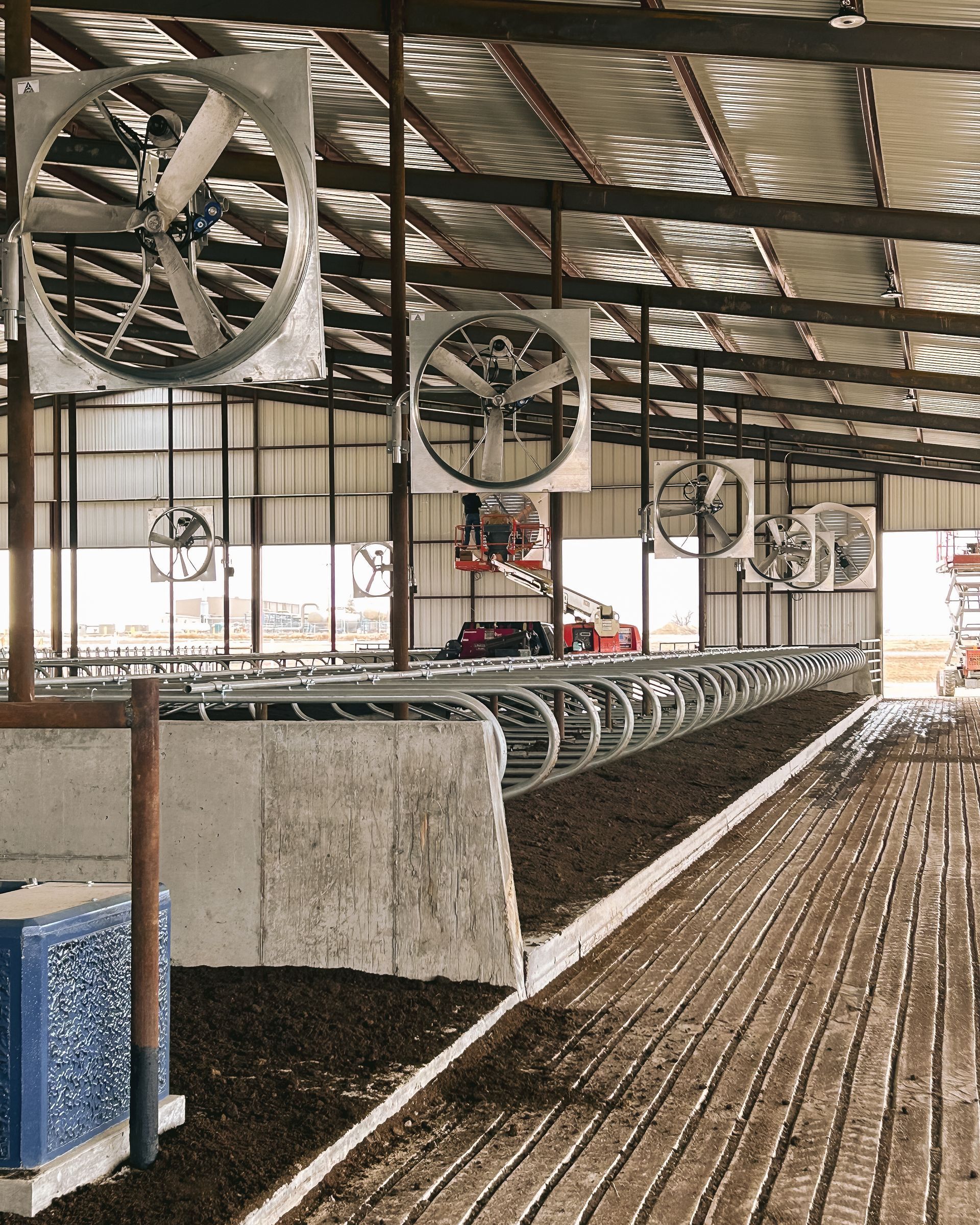 A barn with a lot of fans hanging from the ceiling.