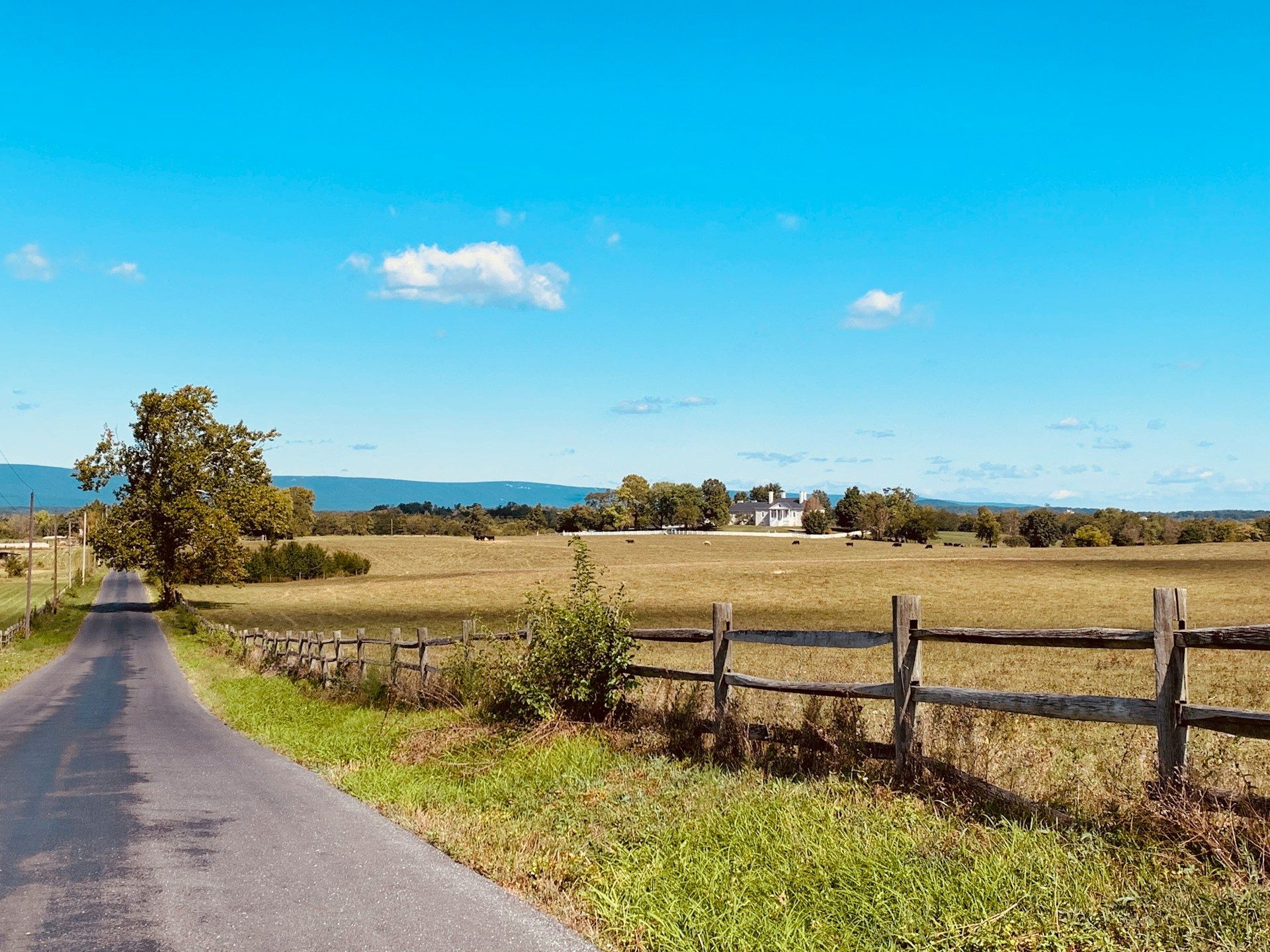 Hands on a table, a ring lies between them. Cheesecake and a phone are also on the table.