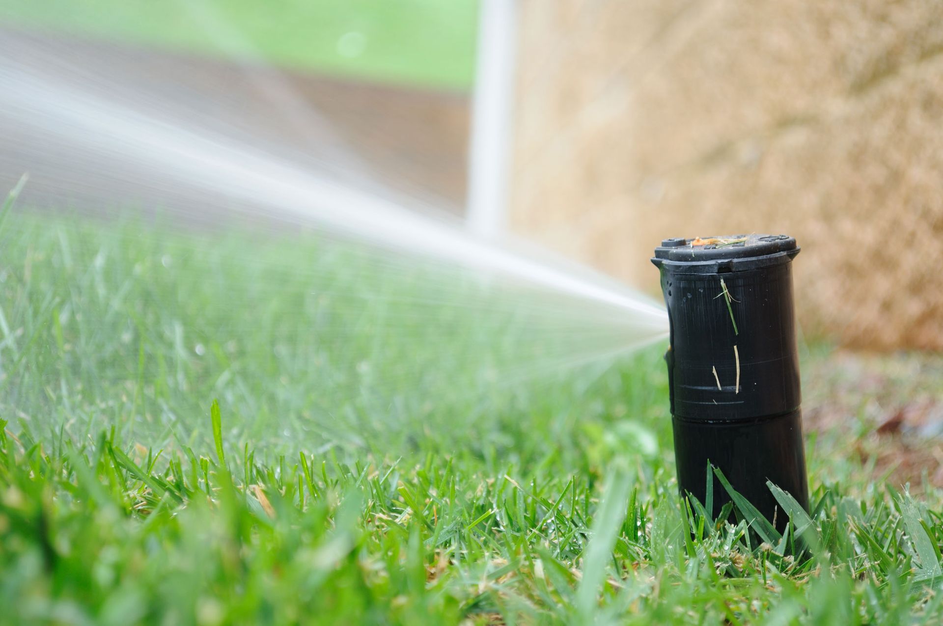 A sprinkler is spraying water on a lush green lawn.