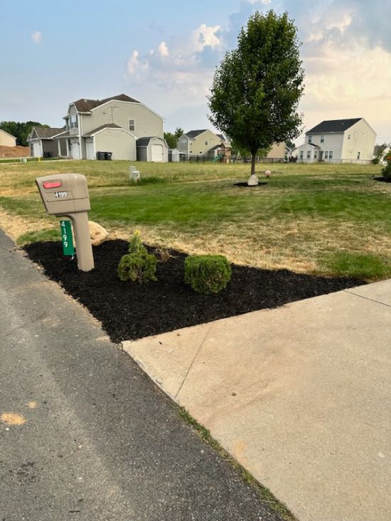 A mailbox is sitting on the side of the road next to a sidewalk.