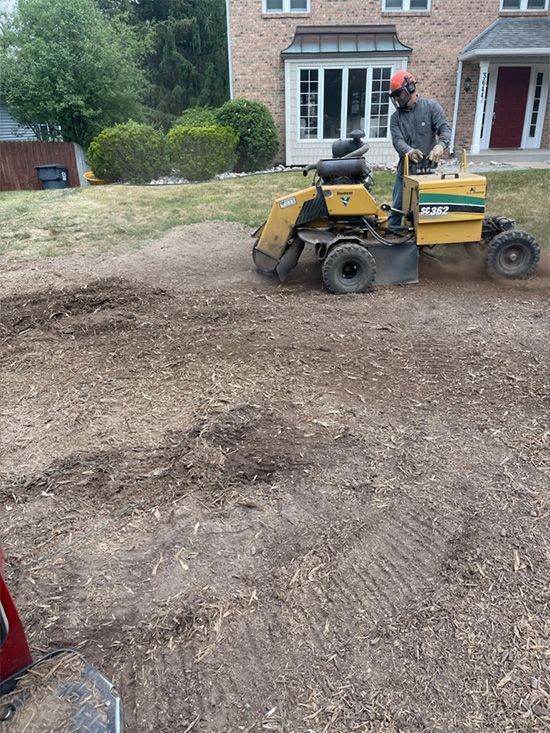 A man is using a stump grinder to remove a tree stump in a yard.