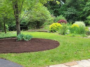 A lush green lawn with a tree in the middle of it surrounded by trees and bushes.