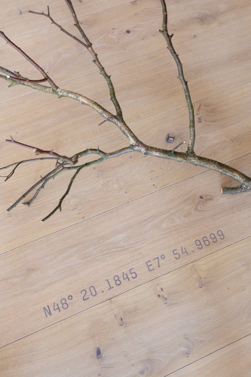 En tregren ligger på et tregulv