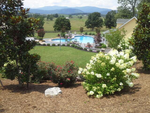 Pool Surrounded By Trees — Staunton, VA — Valley Pool & Spa