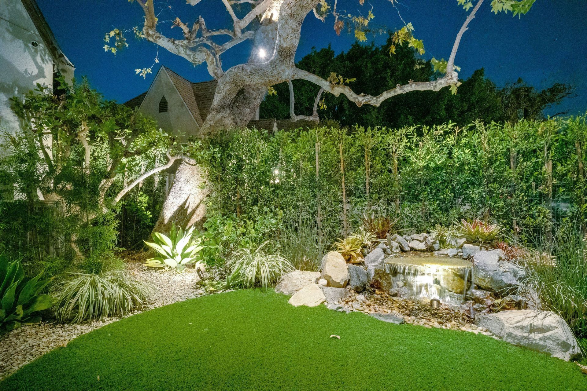 Backyard Lawn — Culver City, CA — Gregory Davis & Associates