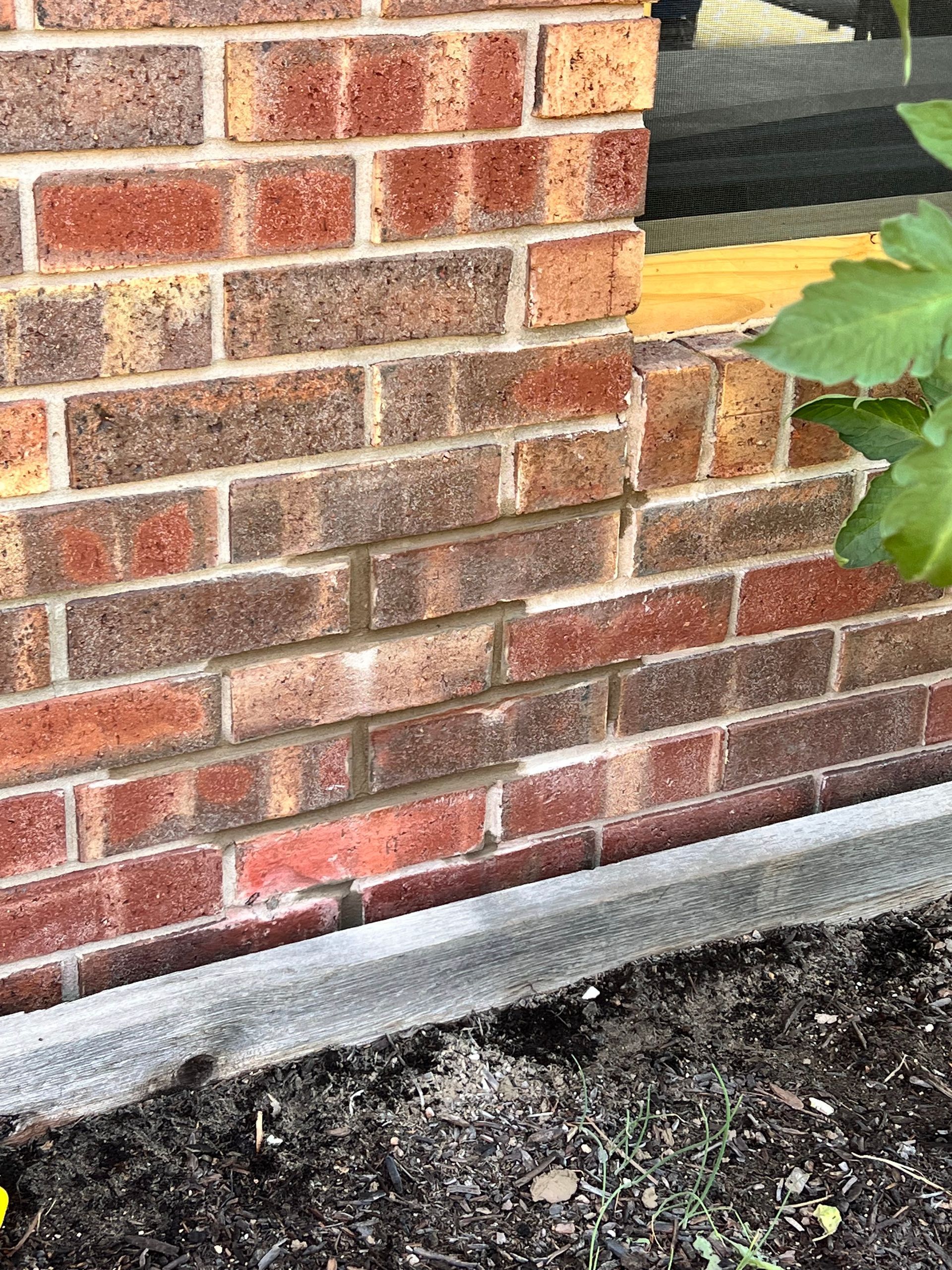 A close up of a brick wall with a plant in the background.